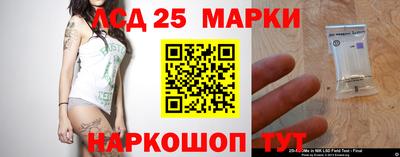 ГАЛЛЮЦИНОГЕННЫЕ ГРИБЫ Можга