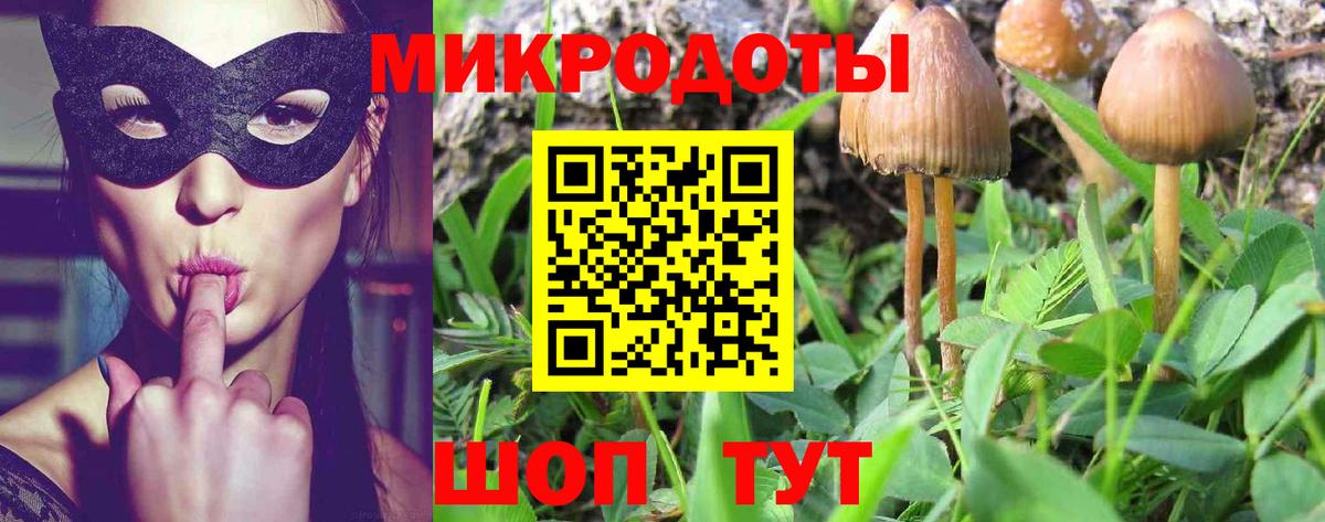 Псилоцибиновые грибы ЛСД Фролово